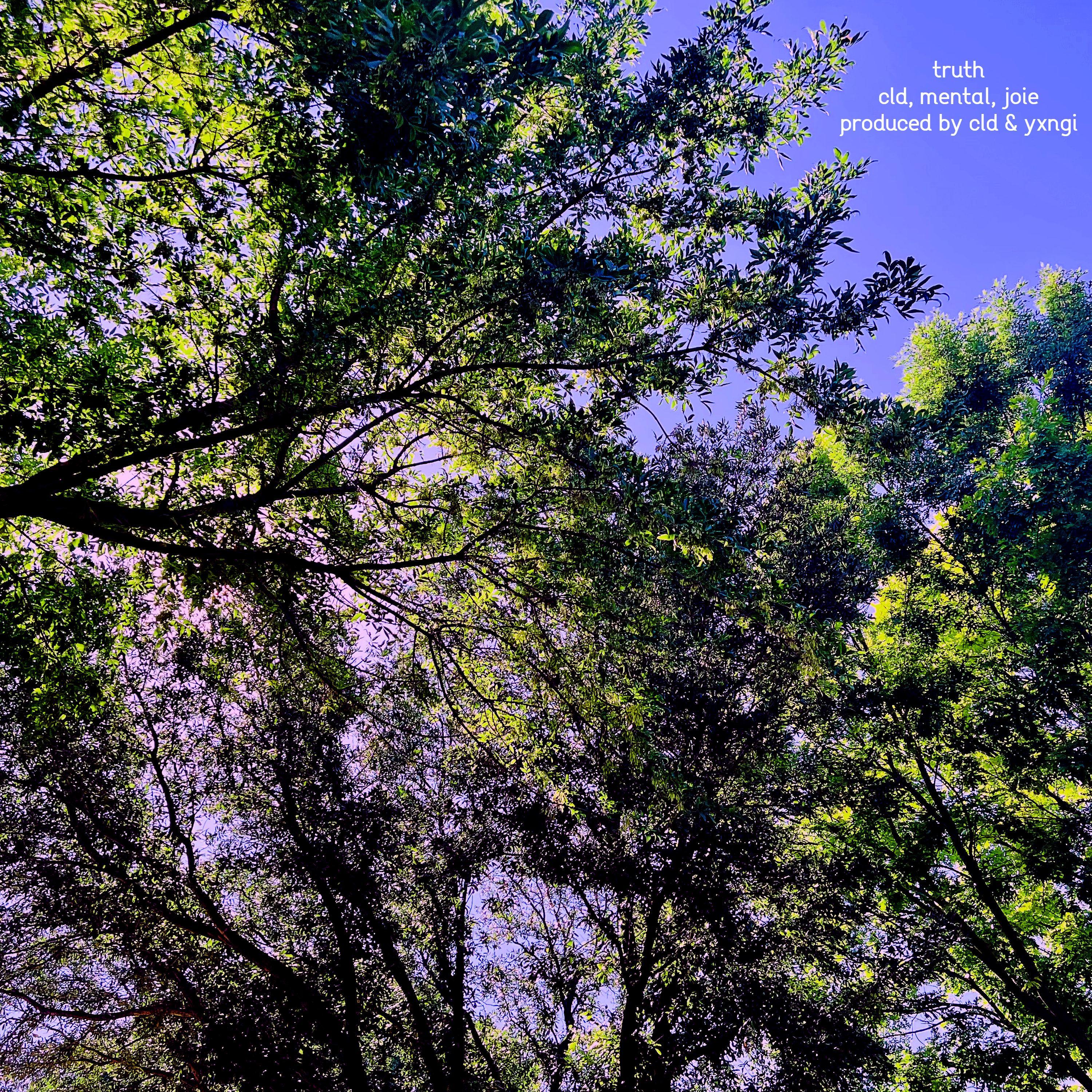 truth (feat. mental & joie)