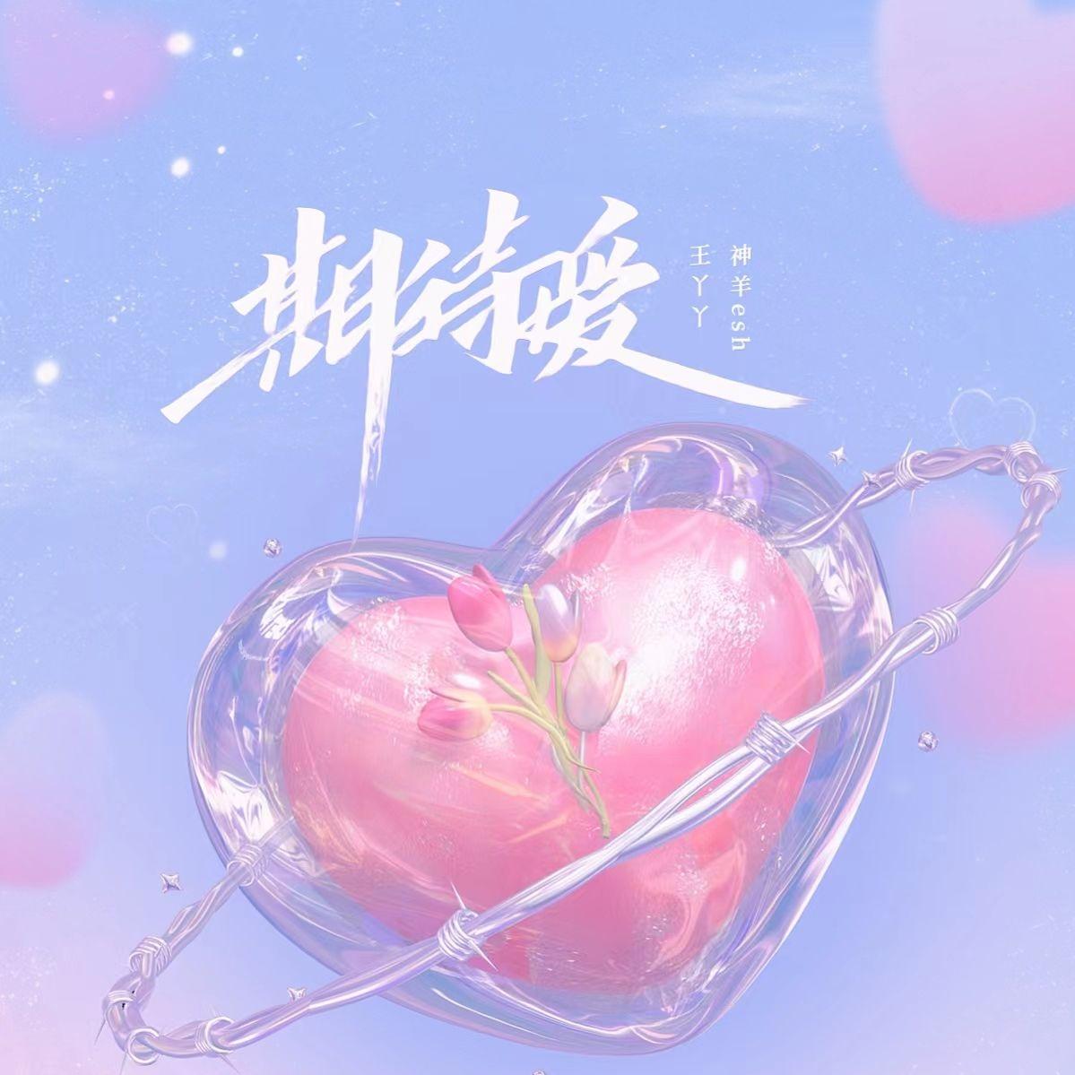 期待爱封面