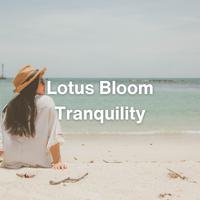 Lotus Bloom Tranquility