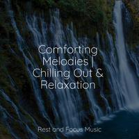 Comforting Melodies | Chilling Out & Relaxation