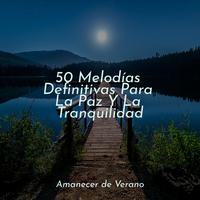 50 Melodías Definitivas Para La Paz Y La Tranquilidad