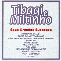 Seus Grandes Sucessos