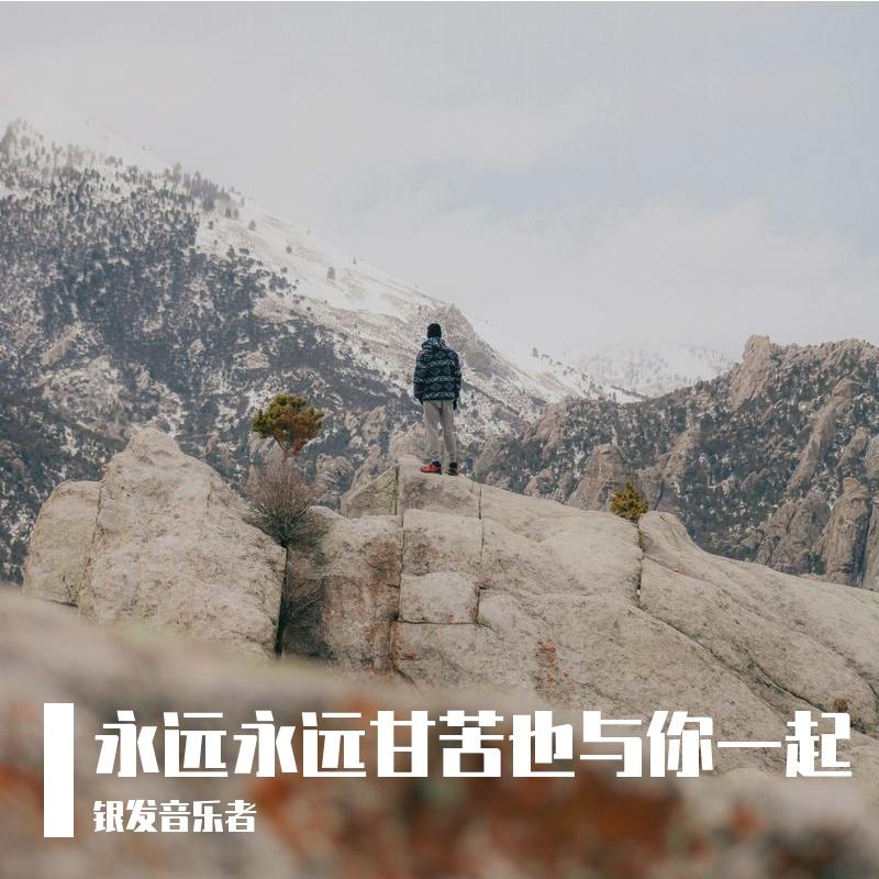 芒种刺破麦浪封面
