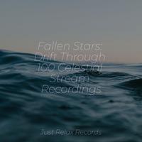 Fallen Stars: Drift Through 100 Celestial Stream Recordings