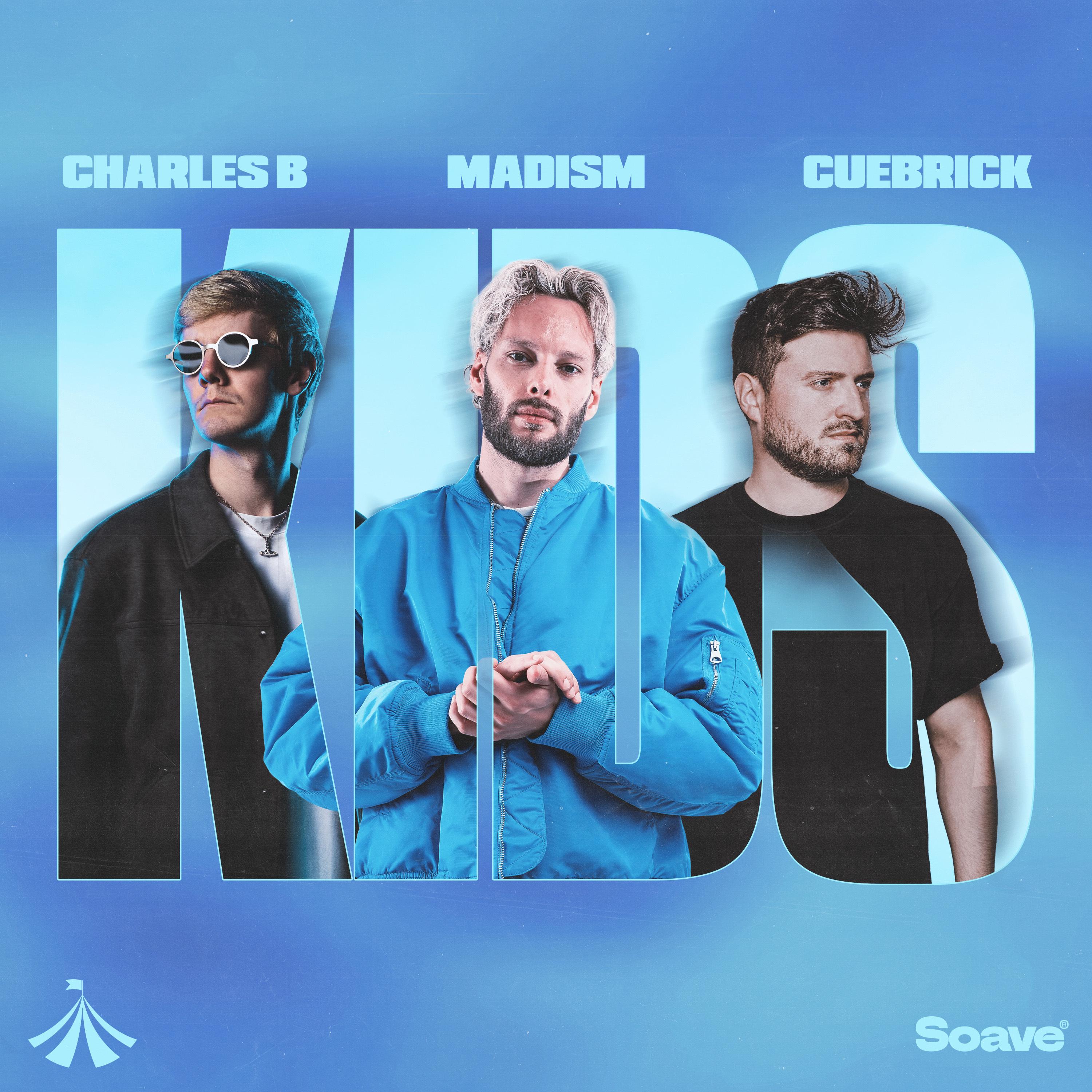 electronic town hall