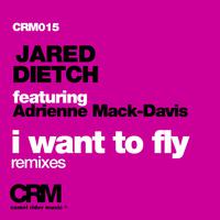 I Want to Fly, Pt. 2 (feat. Adrienne Mack-Davis)