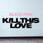 kill this love(cover:blackpink)歌词