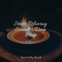 Stress Relieving Sounds | Deep Sleep