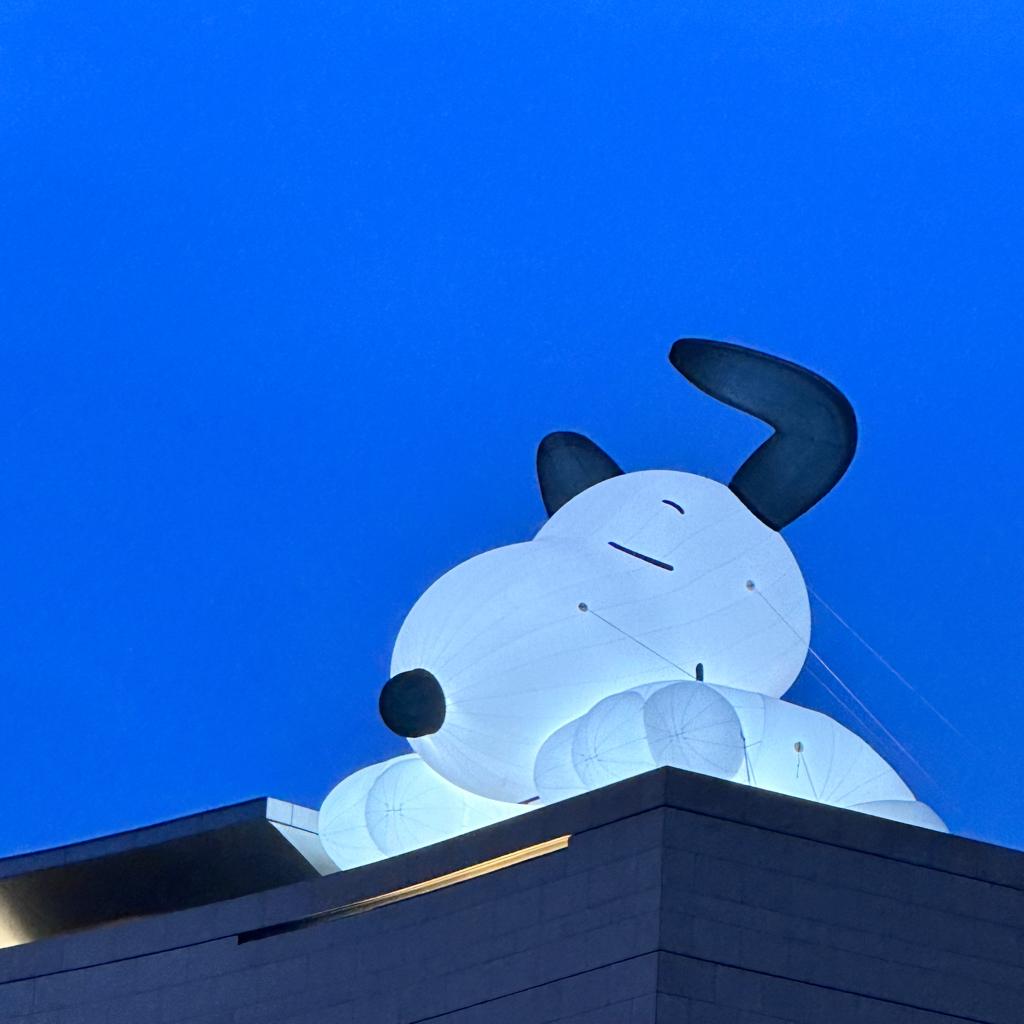 永远到底有多远c