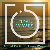 Tidal Waves - Actual Facts of Ocean Waves