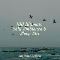 100 Ultimate Chill Ambience & Sleep Mix