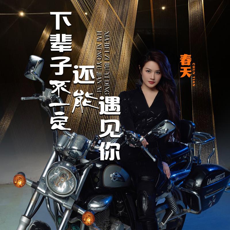 下辈子不一定还能遇见你(DJ版)封面