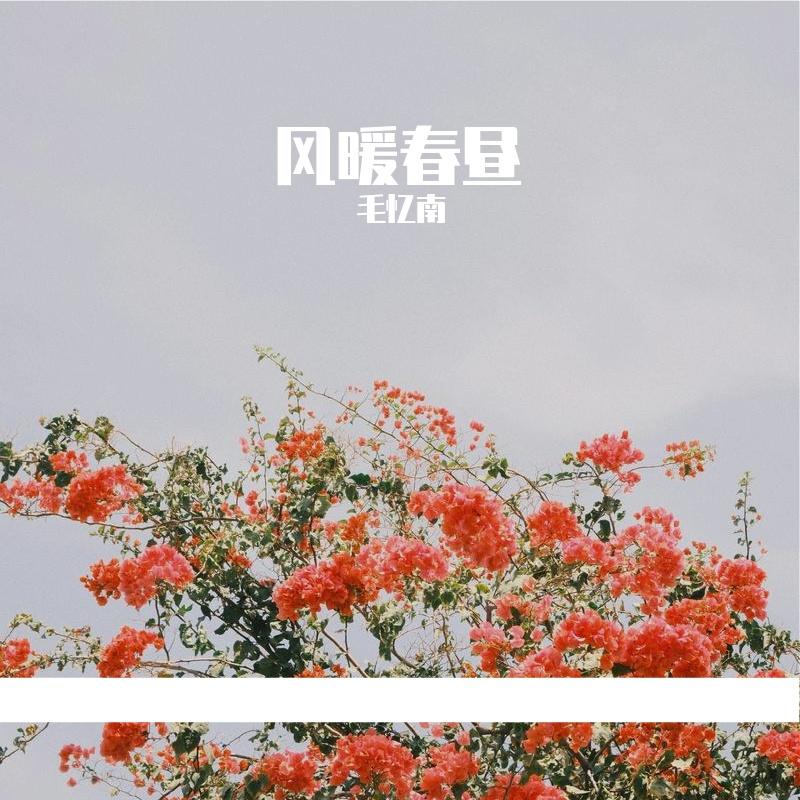 与春游封面
