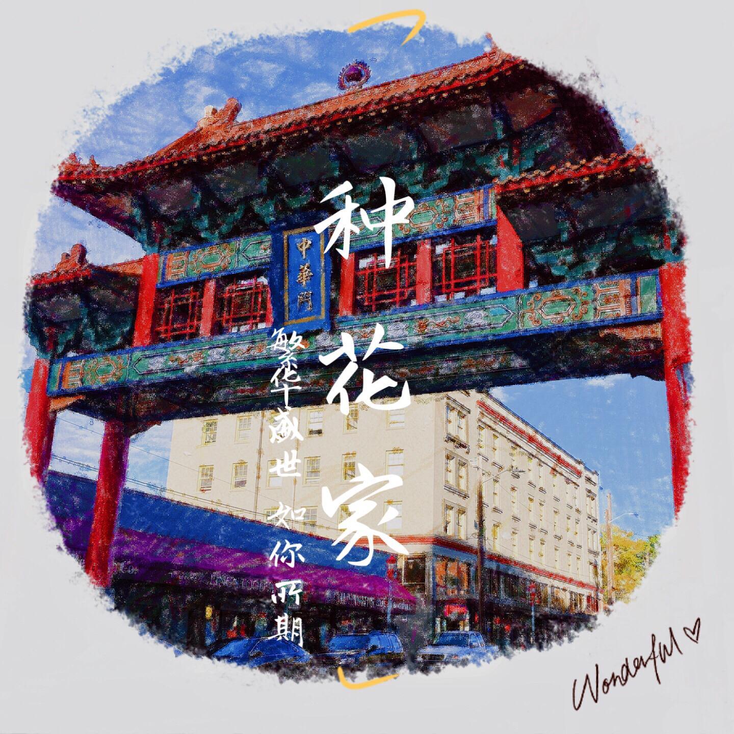 种花家 伴奏封面