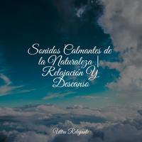 Sonidos Calmantes de la Naturaleza | Relajación Y Descanso