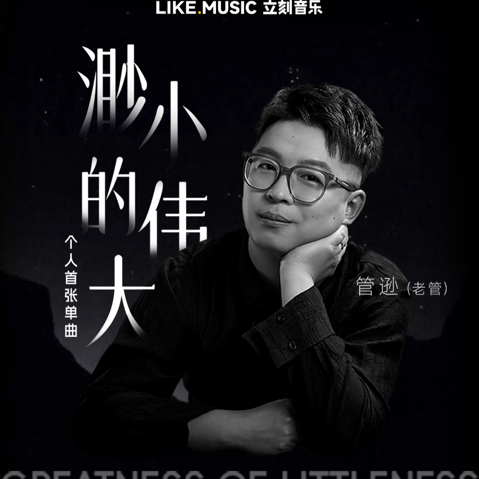 渺小的伟大封面