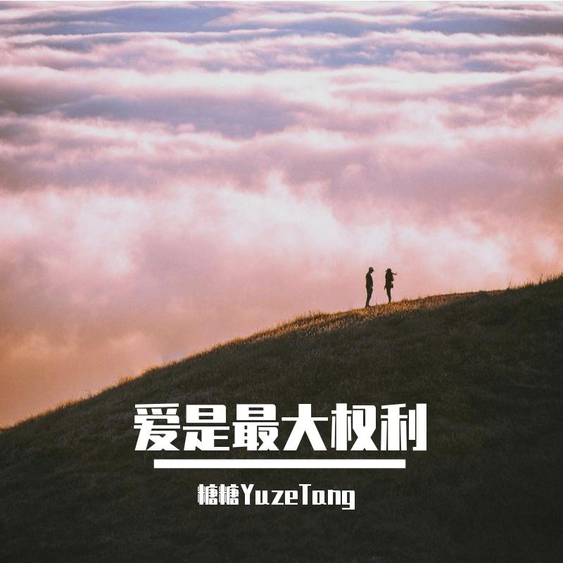爱是最大权利 (Uncompleted)封面