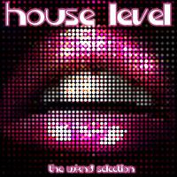 House Level