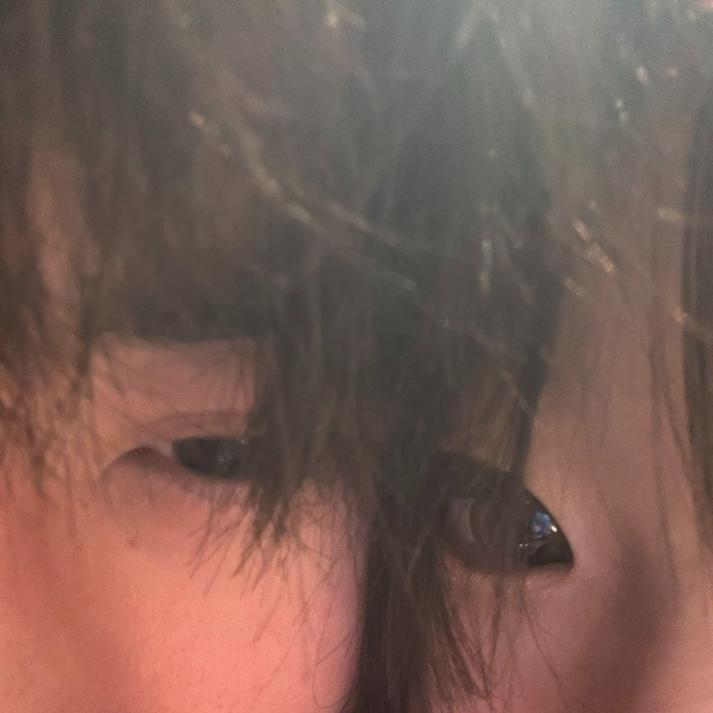 从未专辑