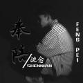 我乐意 (DJ版)封面