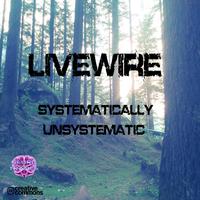 Systematically Unsystematic