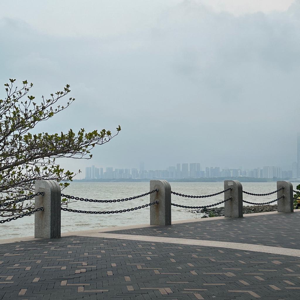 回忆是惩罚那些念旧的人