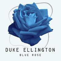 Blue Rose