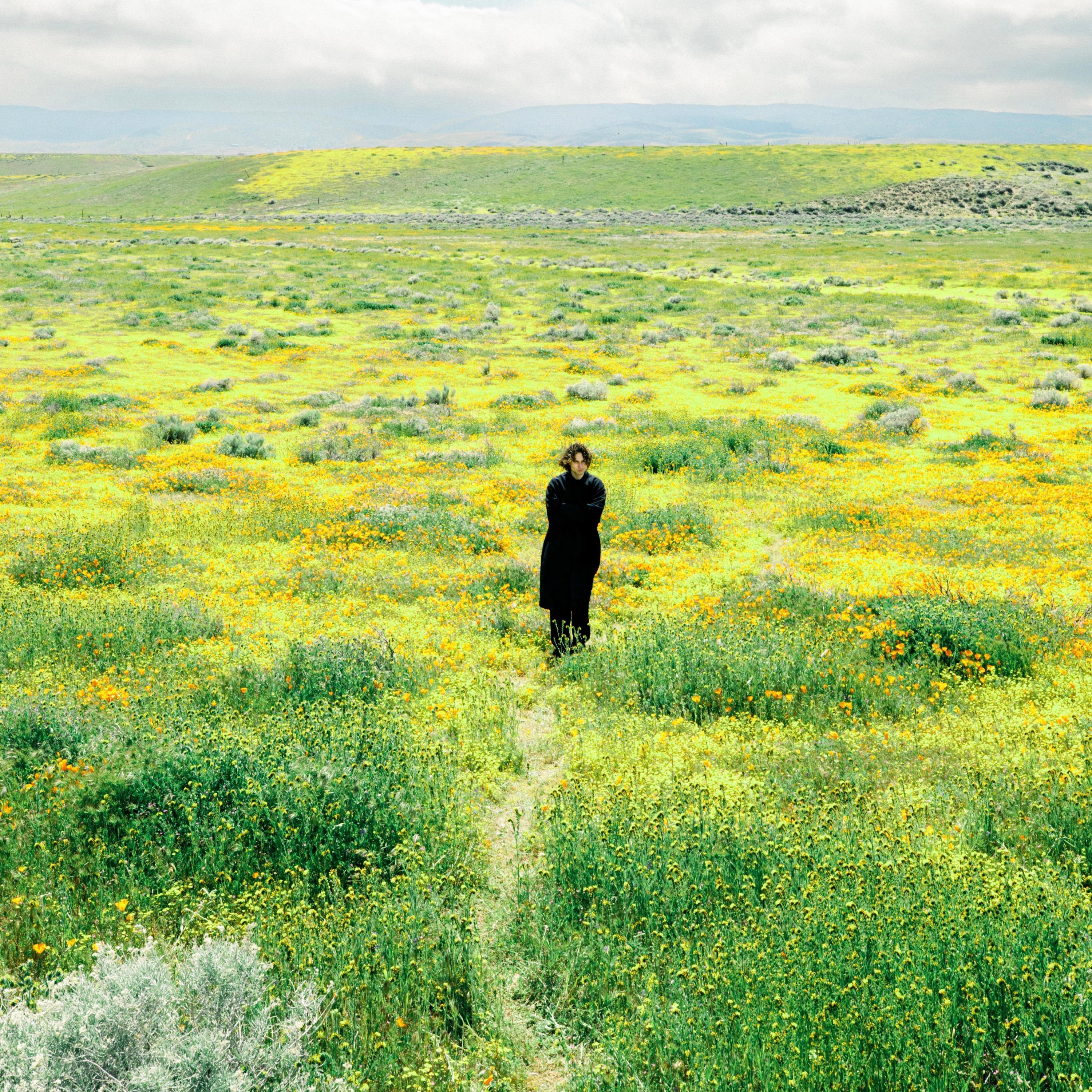 flower bed (acoustic )