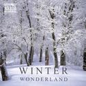 冬之仙境 | 盼雪花，盼雪花