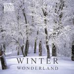 冬之仙境 | 盼雪花，盼雪花