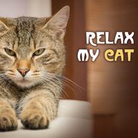 Relax My Cat - Soothing Music for Cats and Pets at Home Alone, Pet & Dog Relaxation