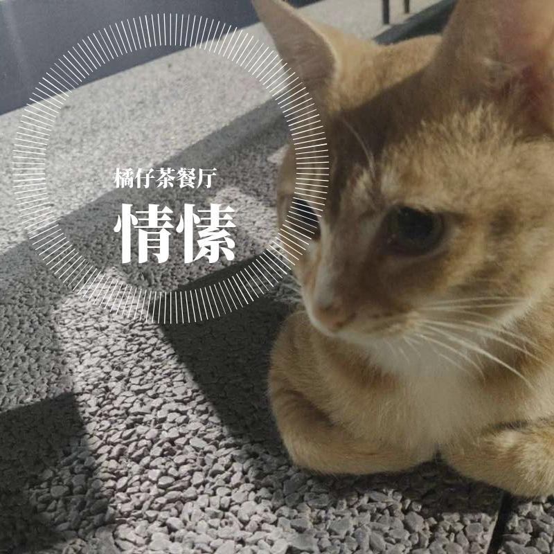 只想紧紧握着你的手封面