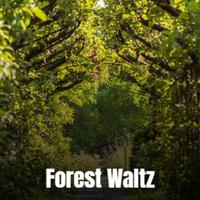 Forest Waltz