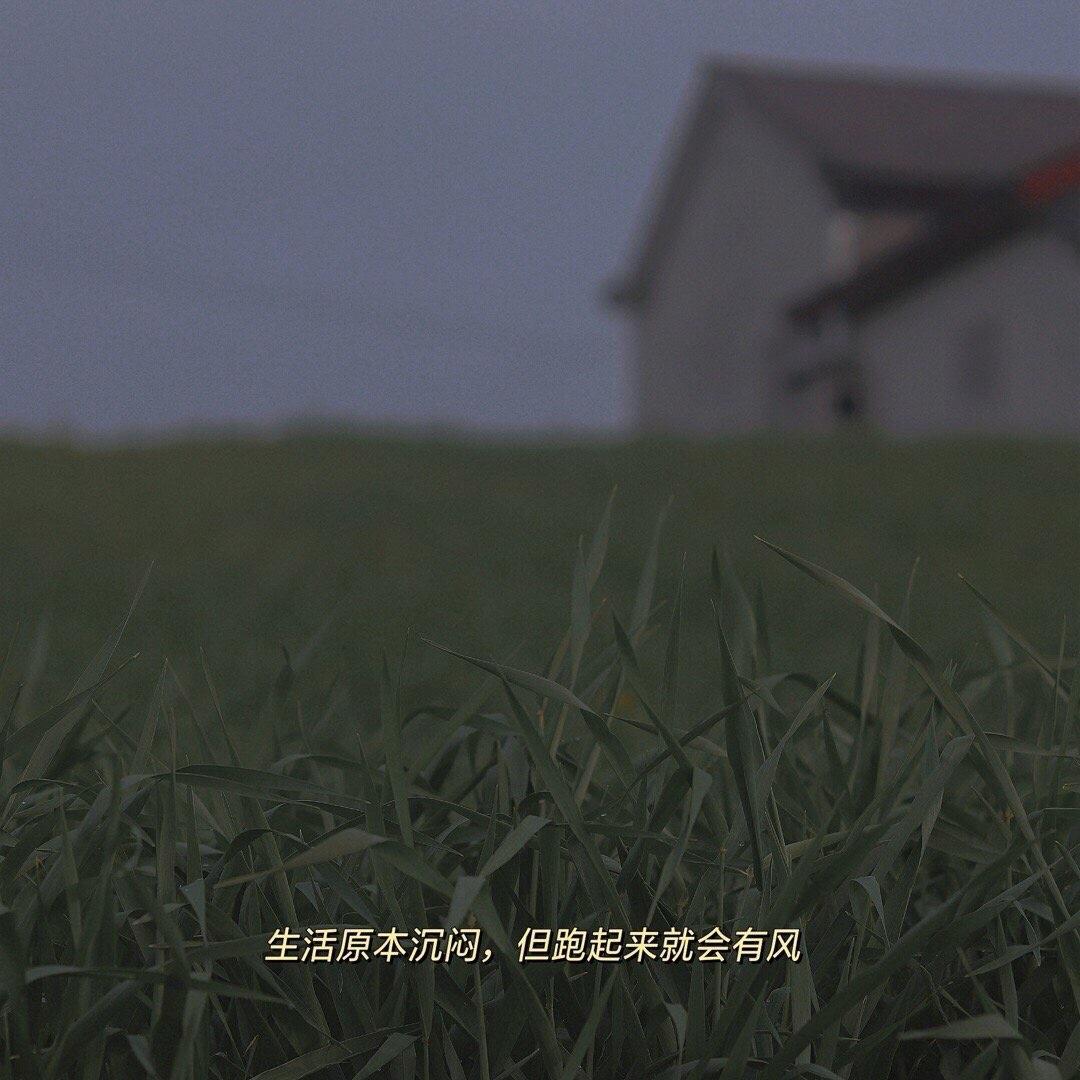 八月十五封面