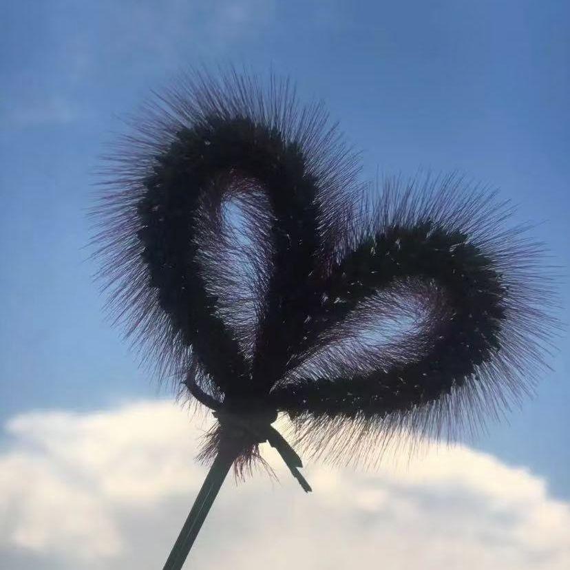 家封面