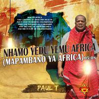 Nhamo Yedu Yemu Africa (Mapambano Ya Africa)