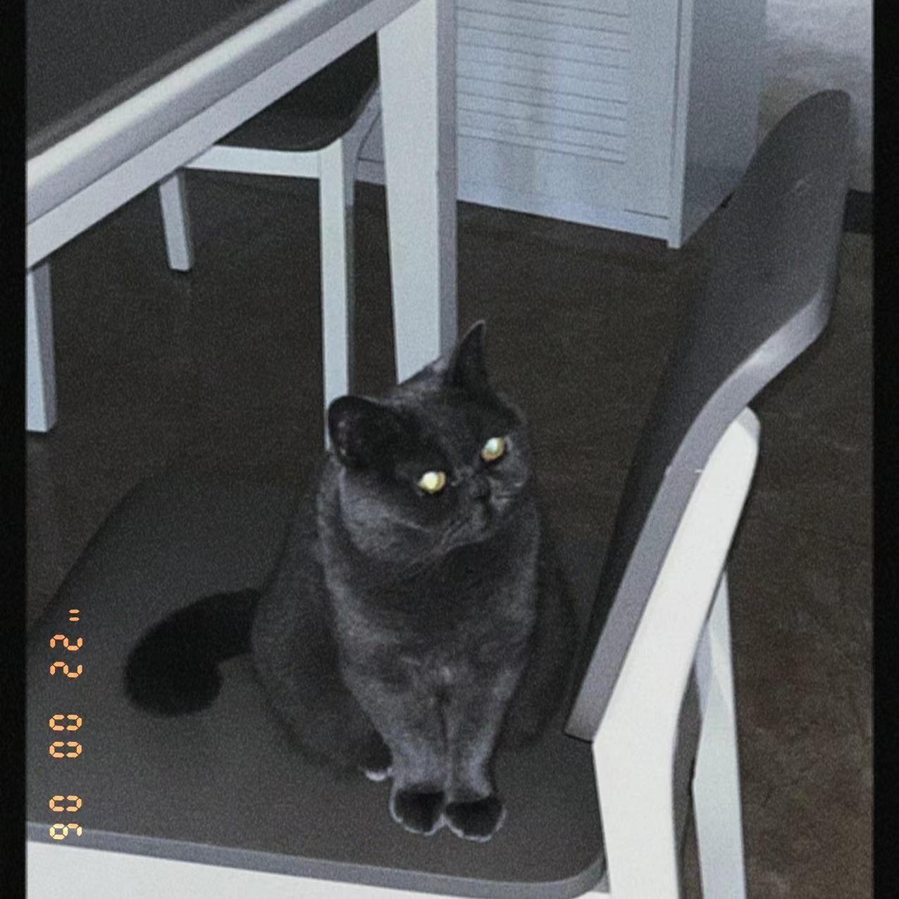 ：(CAN U HOLD ME ？（prod by VERTEXMUSIC)