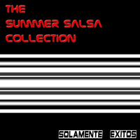 The Summer Salsa Collection