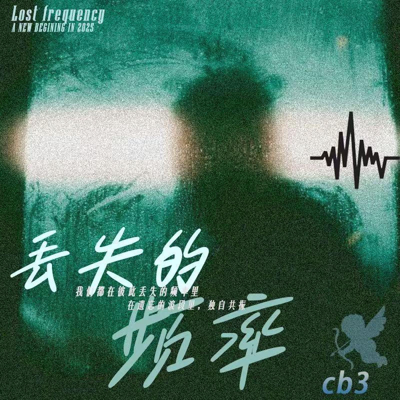 发生了太多的意外封面