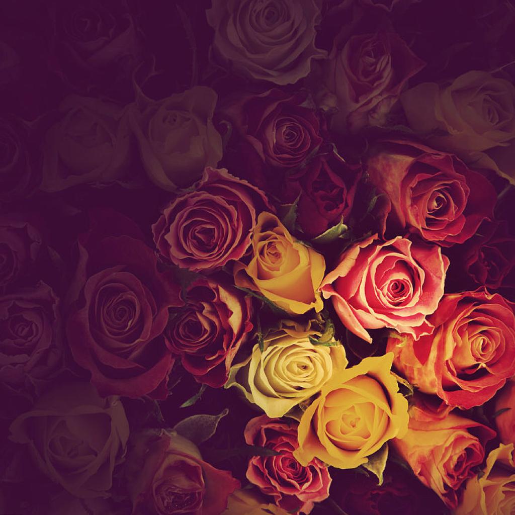 适 合 女装店 服装店的 BGM