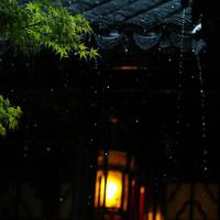 听雨