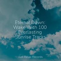 Eternal Dawn: Wake With 100 Everlasting Sunrise Tracks