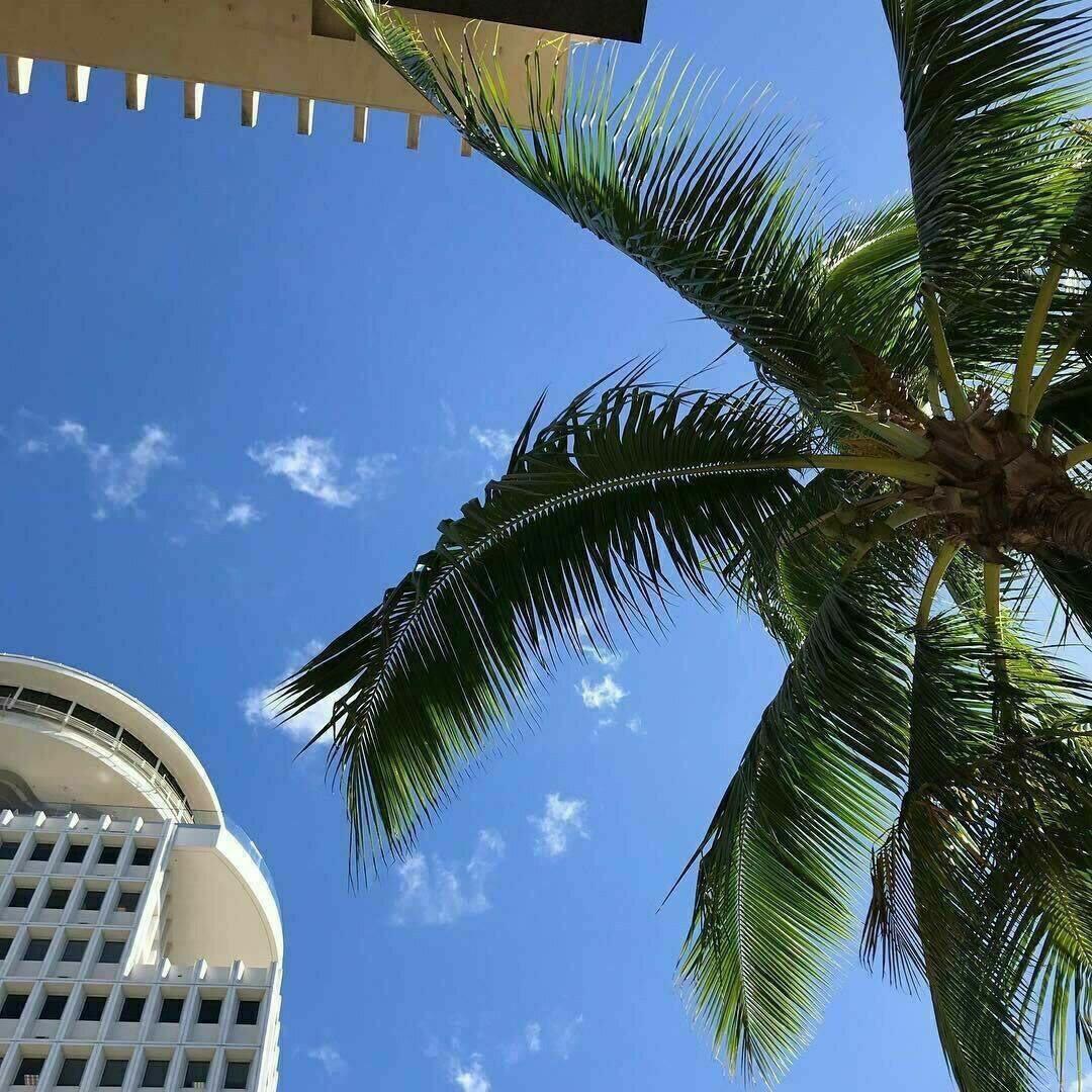 吉克隽逸-Letting Go(Dj版)