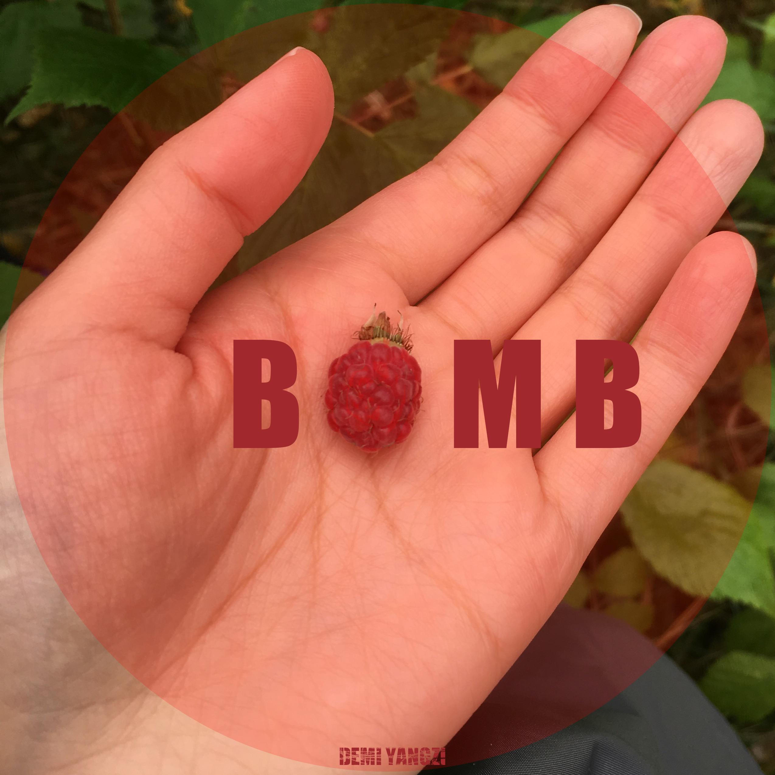 song-img