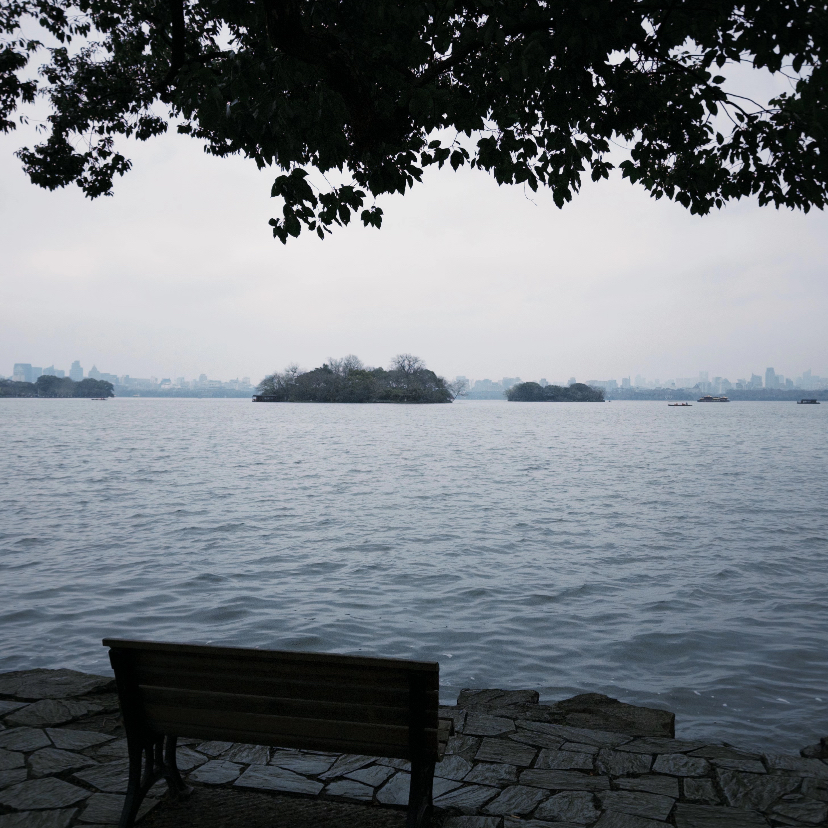Wilderness beat（西湖水）封面