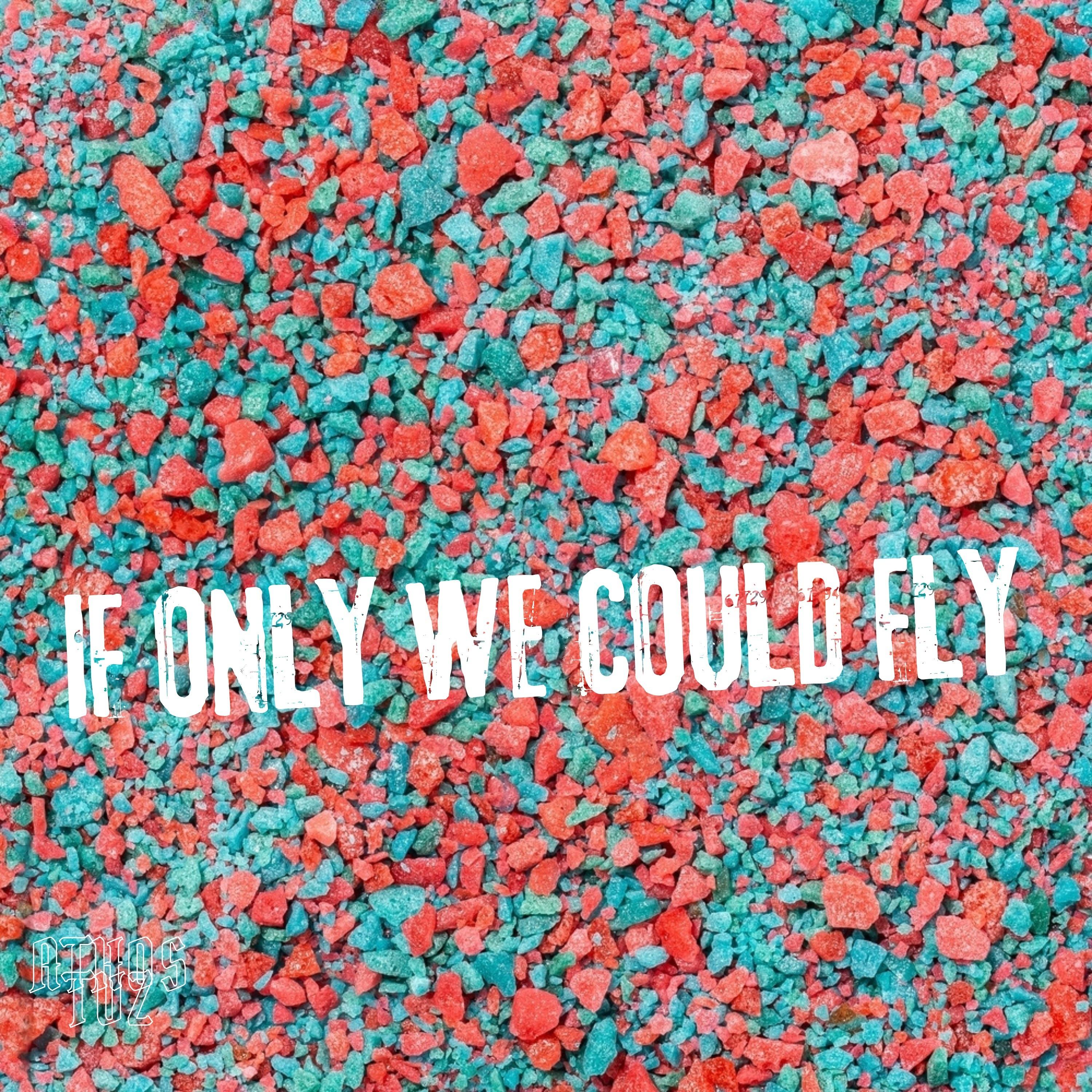 If Only We Could Fly