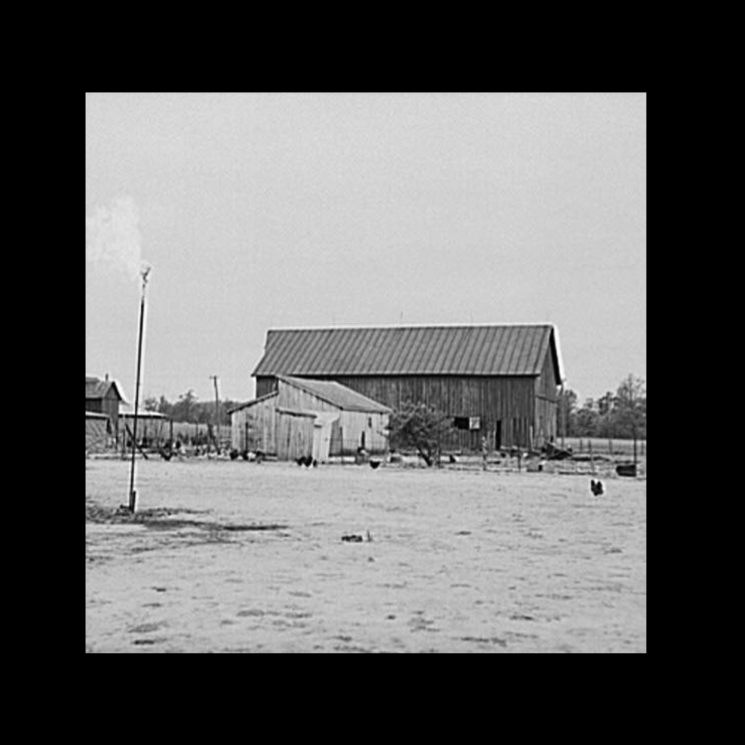 FIELDS OF SAVAGE 戎野