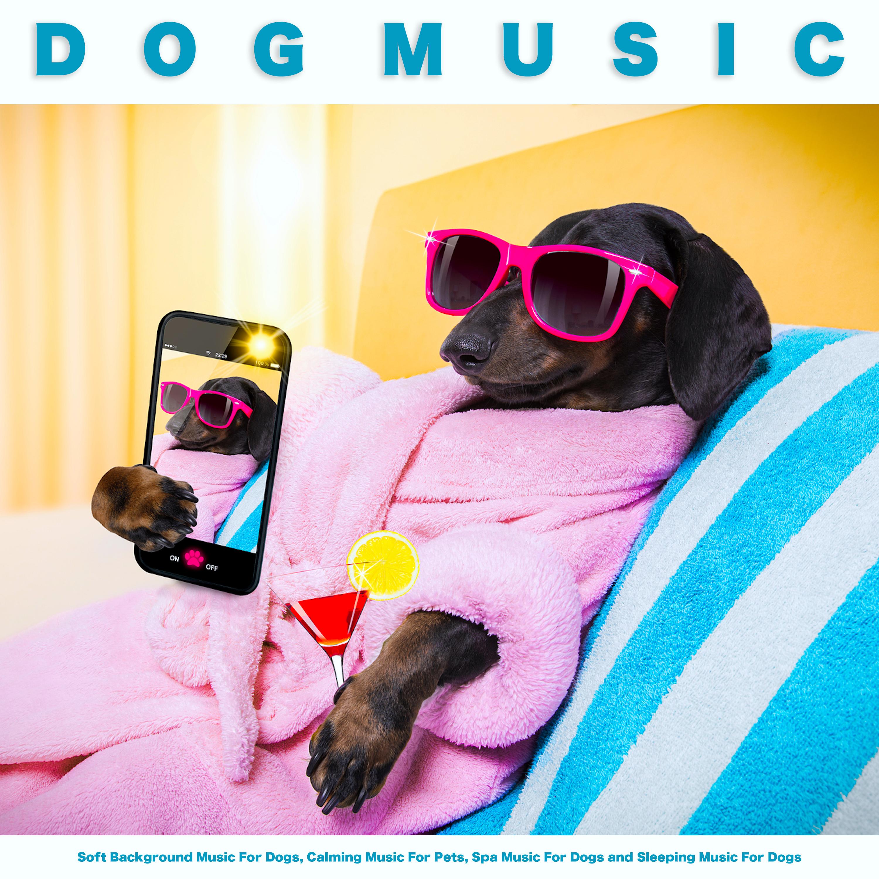 Music For Dogs