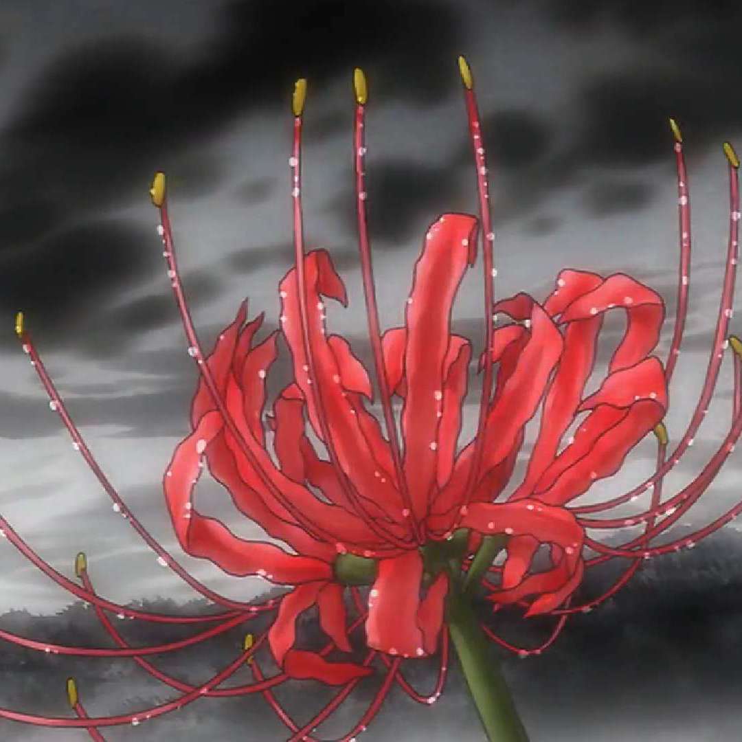 我的记忆中没有你