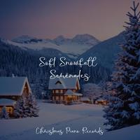 Soft Snowfall Serenades